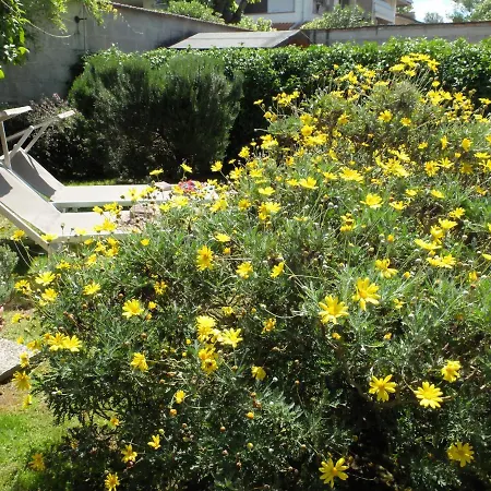 Apartment Con Giardino A 5 Minuti Dal Mare Torre del Lago Puccini